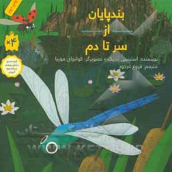 بندپایان از سر تا دم